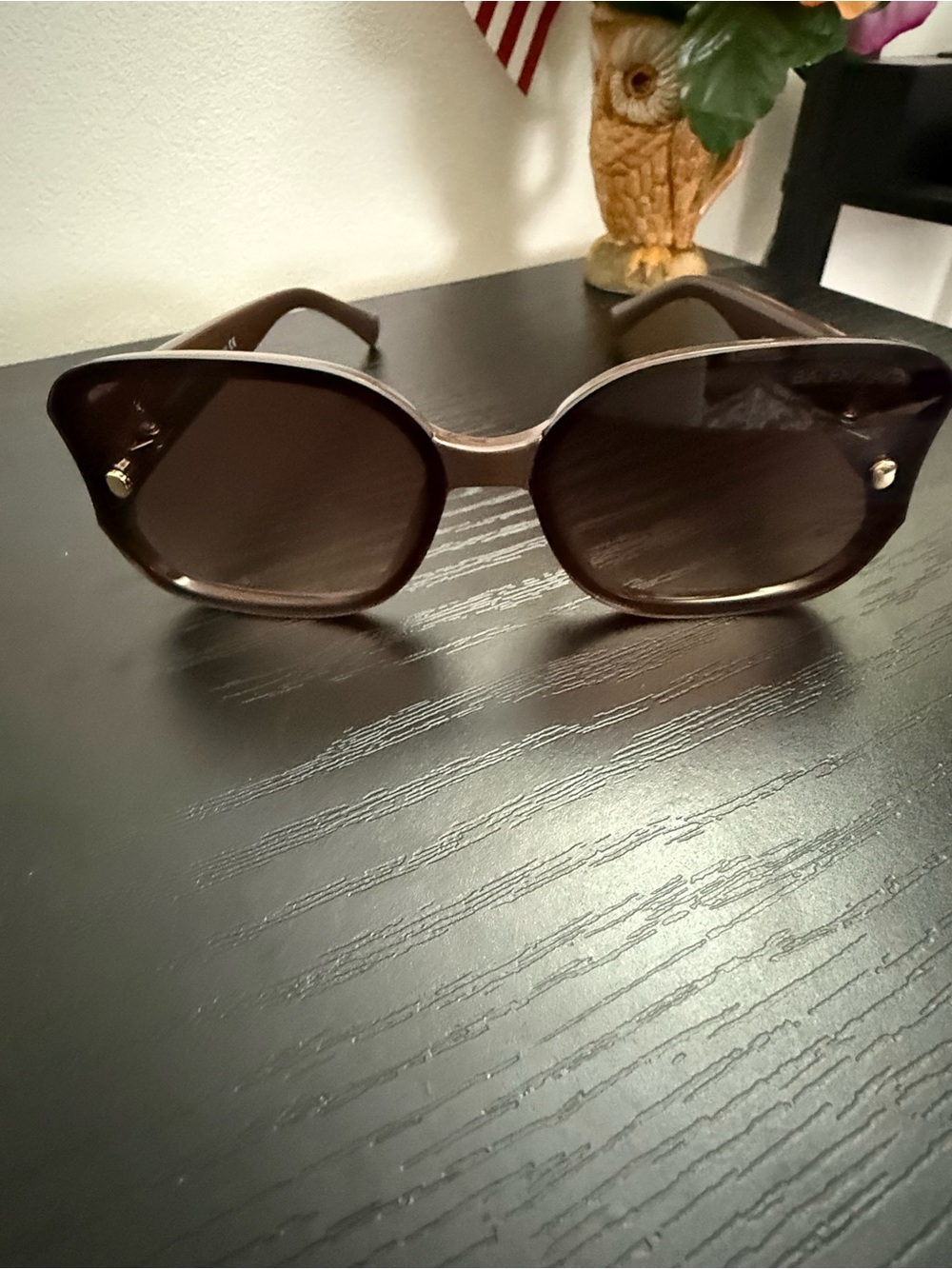 Balenciaga Brown Oversized Women's Sunglasses